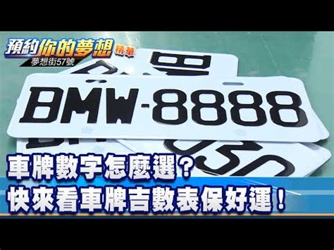 車牌兇吉查詢